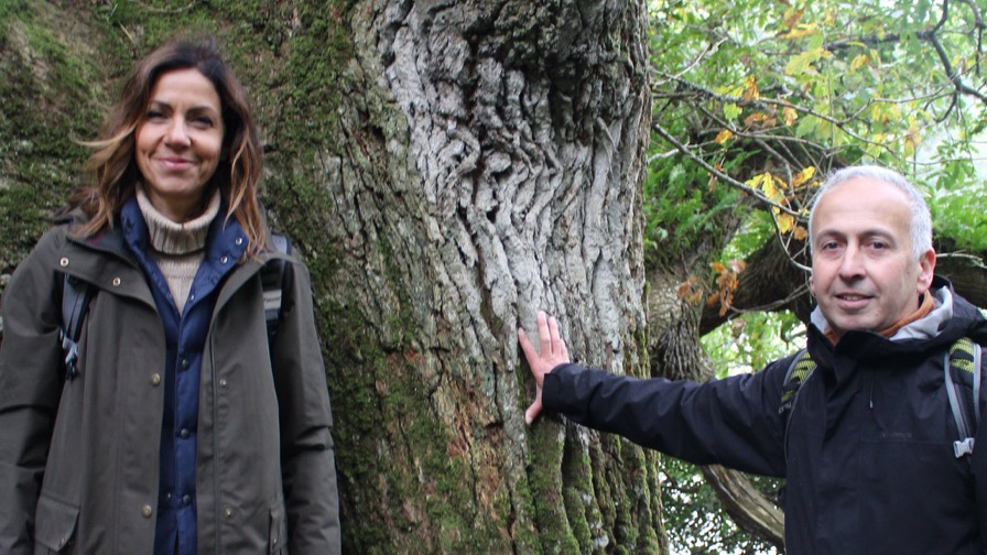 Julia, tree and me